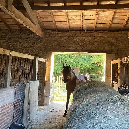 Location Chateau Couronneau *