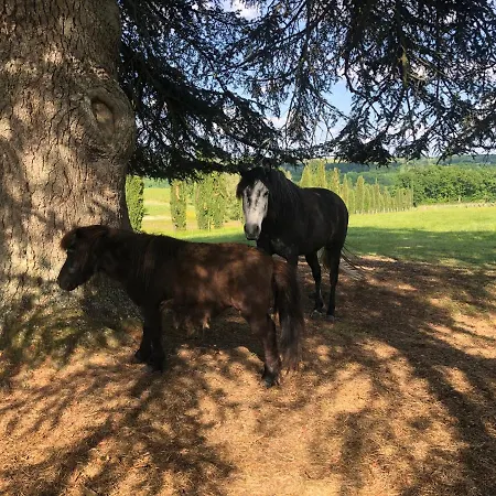 Location Chateau Couronneau * Ligueux (Gironde)